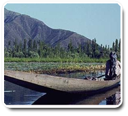 Golden Triangle Tour Packages